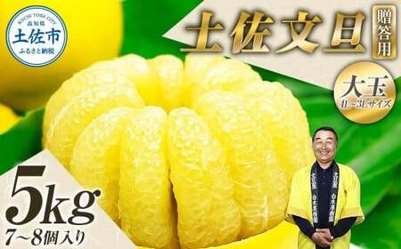 【先行予約】【果樹園直送】土佐文旦 特選品贈答用 約5kg 3L〜4Lサイズ 7〜8個入り〈2027年2月中旬〜3月下旬頃発送〉  / 大玉 ぶんたん ブンタン フルーツ 柑橘 みかん 果物 くだもの 柑橘類【白木果樹園】 [BQAI001]