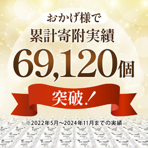 【99.9% 除菌】ノンアルコール ウエットティッシュ 80枚入×5個セット（400枚） 無香料 コンパクト お手拭き 清潔