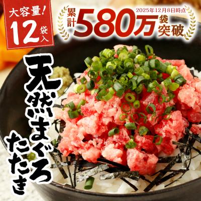 ふるさと納税 焼津市 【2026年8月お届け】天然 まぐろ ネギトロ 80g×12パック (a10-598202608)