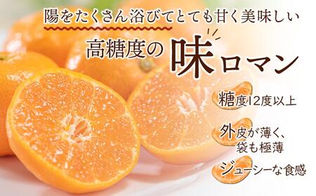 【糖度12度以上！】長崎県産 みかん 味ロマン 約10kg ＜期間限定／先行予約＞【2025年11月中旬以降順次発送】