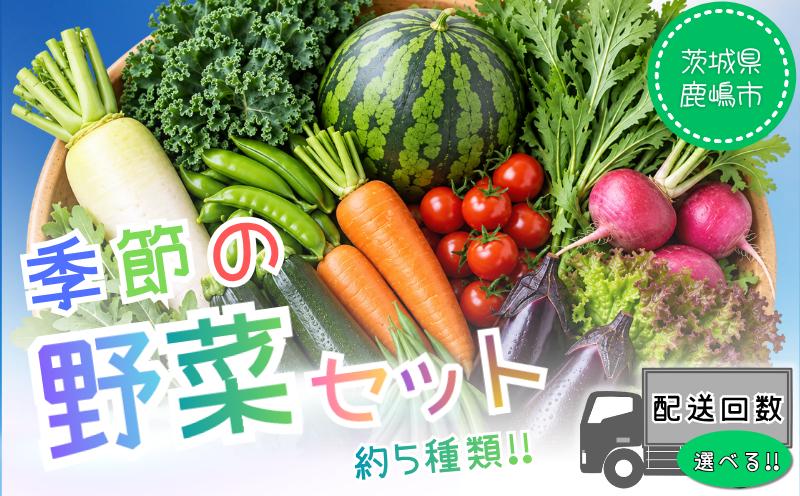 
                  数量限定 野菜 選べる 配送回数 詰め合わせ 野菜詰め合わせ セット 5種類 人気 詰合せ 季節の野菜 野菜セット 新鮮野菜  産地直送 お取り寄せ 大根 干し芋 ケール ルッコラ スナップエンドウ ソラマメ サニーレタス オクラ 小玉すいか 紅芯大根 送料無料 おすすめ 旬 新鮮 旬野菜 お試し 定期便 野菜定期便 5000円 15000円 ふるさと納税 茨城県 鹿嶋市 【11月以降順次発送】
                
