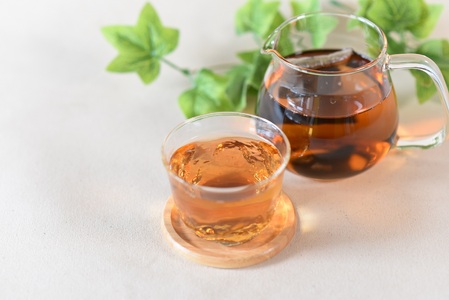焙煎 黒バイオ茶 1袋 有機栽培 お茶 茶葉 tea 緑茶 ほうじ茶 ブレンド茶 製茶 アイス ティーバッグ マグボトル お手軽 小分け 飲料類 水分補給 国産 宮崎県産 九州産 スポーツ アウトドア まとめ買い お中元 敬老の日