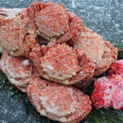 ふるさと納税 根室市 【北海道根室産】クリガニ13〜17尾(4kg前後)、花咲ガニ1尾 C-57026
