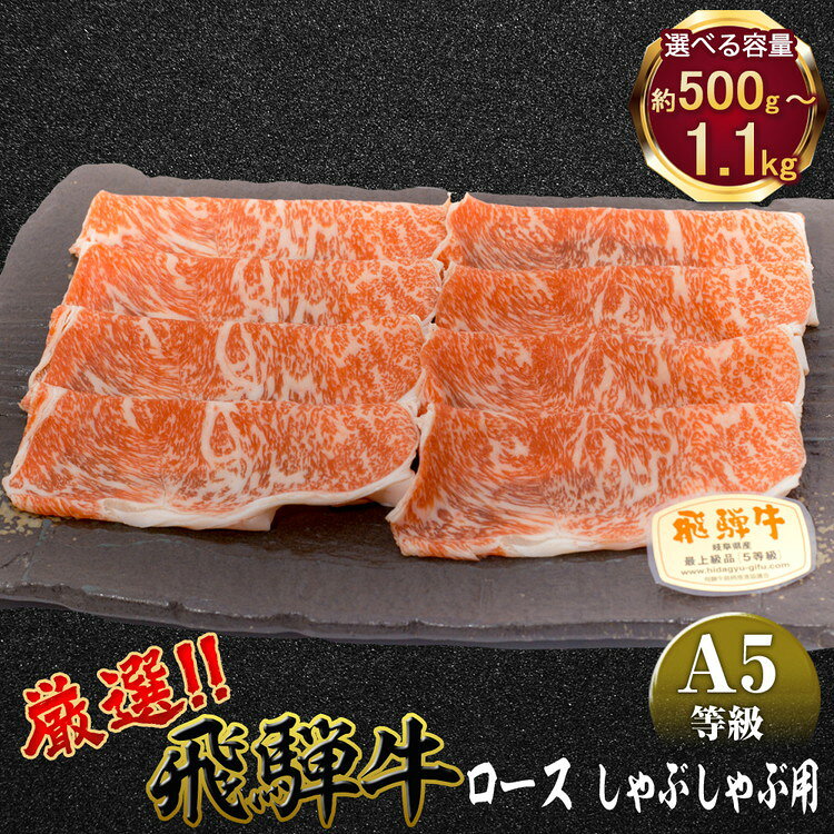 【ふるさと納税】 ＼選べる内容量／ 店主こだわり雌牛 飛騨牛A5等級　ロース　しゃぶしゃぶ用　[No.039] [No.067] [No.084] ／ 牛肉 ブランド牛 鍋 メス牛 冷凍 送料無料 岐阜県 特産