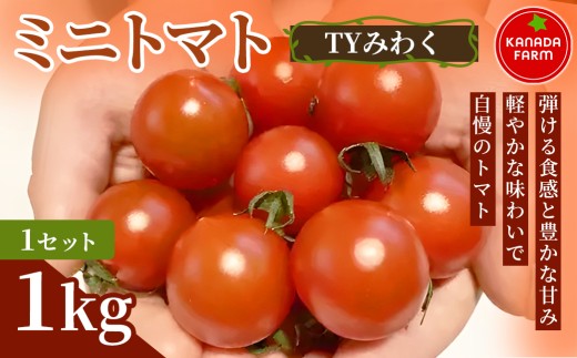 《先行予約》ミニトマト（TYみわく）　1kg 1セット 新鮮野菜 旬 サラダ デザート お弁当 朝食 料理用 そのまま食べる おうちごはん お取り寄せ 産地直送 贈り物 手土産 愛知県 豊橋市