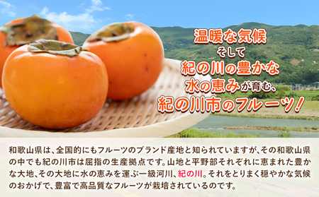 和歌山県産 あんぽ柿 70g×8個セット 紀の川市厳選館 
