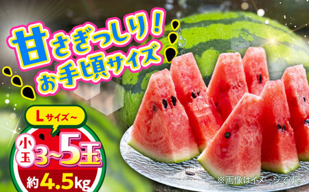 【2026年 先行予約】【数量限定】小玉すいか L以上 3～5玉入り 約4.5kg【日本フルーツ株式会社】[AYDA010]