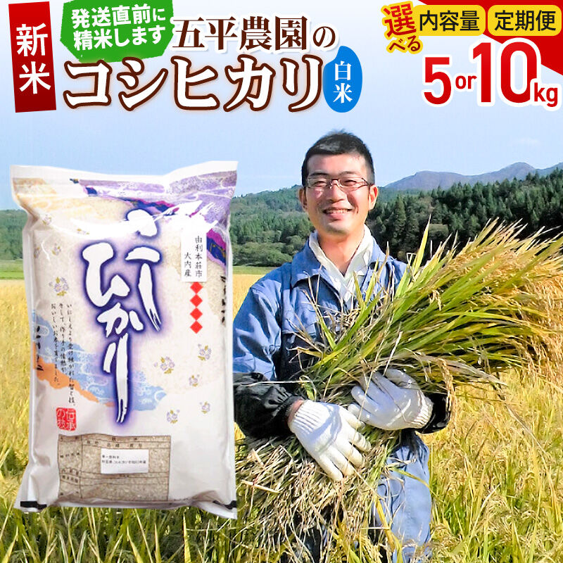 【ふるさと納税】《令和8年産 新米受付》【白米】コシヒカリ【選べる容量 5kg／10kg＋お届け回数 1回〜】秋田県産 五平農園のコシヒカリ [コシヒカリ 新米受付 米 お米 こめ 白米 精米 ブランド米 ご飯 ごはん おにぎり食卓 秋田県産 秋田県]