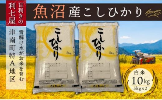 【令和7年産 新米】【魚沼産コシヒカリ 白米10kg（5kg×2袋）×全9回】雪解け水がお米を育む、津南町特A地区の美味しいお米。【令和7年10月以降発送】