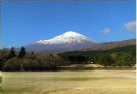 【ふるさと納税】GORA KADAN FUJI GOLF利用チケット | 計8000円分〜 選べる 利用券 チケット 1枚 4000円×2枚〜 5枚 10枚 20枚 ゴルフ ゴルフ場 ゴルフプレー券 ゴルフ利用券 富士山 おしゃれ ゴルフコース リゾートコース 券 静岡県 小山町 送料無料