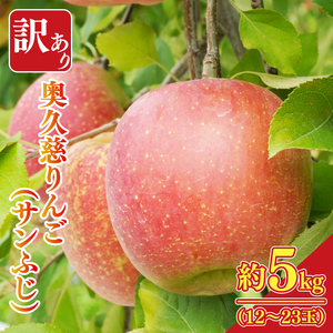 【先行予約】【訳あり】樹上完熟の奥久慈りんご「サンふじ」約5kg（12～23玉）【2025年11月上旬頃発送予定】不揃い 規格外 傷あり 色むら 家庭用｜斉藤りんご園第2直売所 茨城県 大子町 林檎 果物 フルーツ 旬（CG011-1）