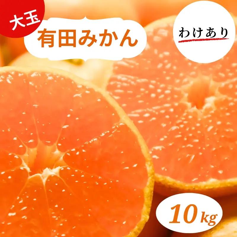 和歌山県産 有田みかん 大玉10kg 2L～3L 訳あり※2026年10月中旬～2027年1月中旬頃に順次発送予定【smt009】