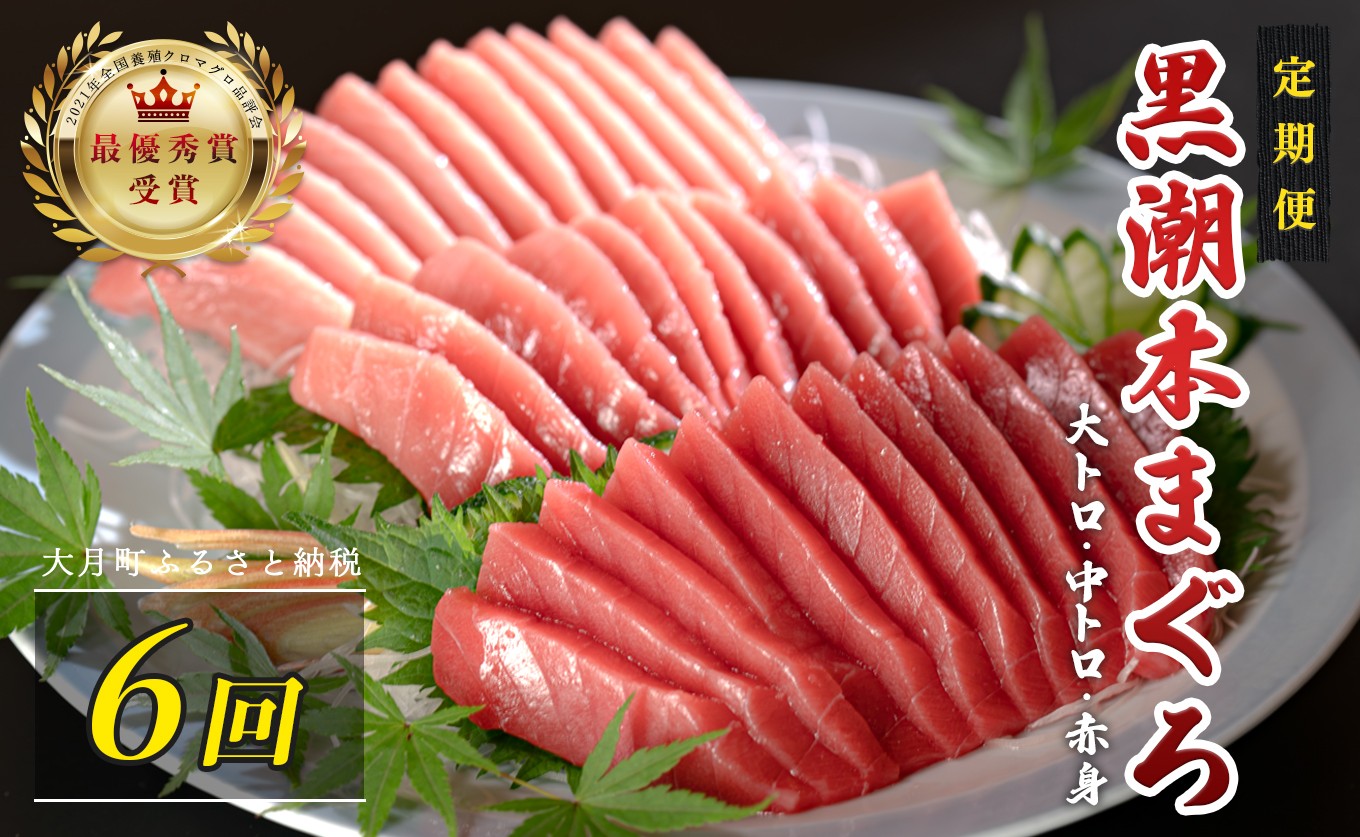 
                  訳あり 不定貫 定期便 6回 国産 養殖本マグロ 大トロ・中トロ・赤身 3種 毎回計450g×6回 黒潮本まぐろ 全国養殖クロマグロ品評会 最優秀賞受賞 6ヶ月 6か月 半年 柵 刺身用 本マグロ クロマグロ 本鮪 まぐろ 鮪 お刺身 さしみ 大トロ トロ 中トロ 赤身 海鮮丼 漬け丼 手巻き寿司 鉄火丼 まぐろ丼 小分け 個包装 真空パック 冷凍 不揃い 家庭用 海鮮 年末年始 12万円
                
