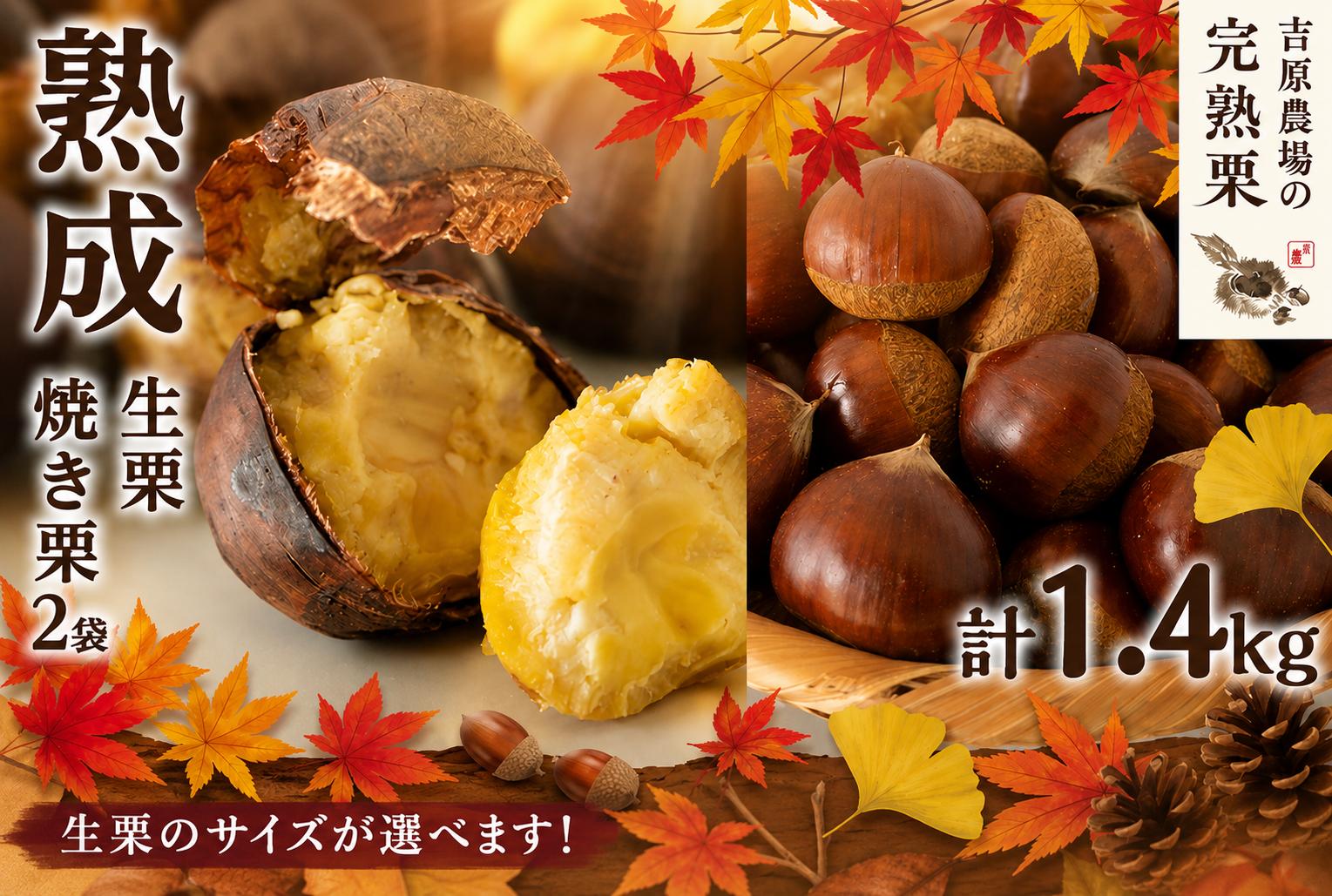 
                  【先行受付】 熟成 生栗 焼き栗 セット 選べるサイズ 生栗 1kg Lサイズ / 2L / 3L 焼き栗 2袋 令和8年産 完熟 栗 くり クリ 栗ごはん 贈答 ギフト 果物 フルーツ 2026年度産 国産 味覚 生ぐり なまぐり 和栗 わぐり 秋の味覚 マロン 生くり 甘栗 焼き栗 ゆでぐり 料理 和菓子 栗きんとん 旬 秋 冬 正月 おせち 茨城県 筑西市 関東
                