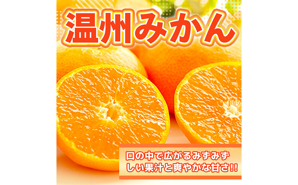 
                  温州みかん 約10kg 2S～2L みかん 果物 くだもの 旬 益城町産【2026年11月上旬より発送開始】
                