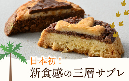 選べる恐竜スイーツ　トリケラセット　冷凍 瓶詰 プリン サブレ缶 おもちゃ 恐竜博物館 ティラノサウルス トリケラトプス スピノサウルス モササウルス 食玩 玩具菓子 きょうりゅう 男の子 プレゼント
