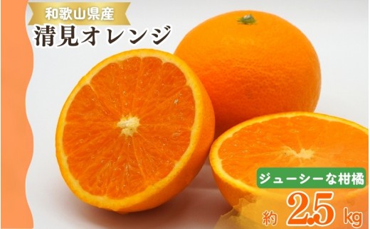 
                  【予約】【ジューシー】清見オレンジ 2.5kg　※2027年3月下旬頃～2027年4月下旬頃に順次発送予定（お届け日指定不可）【uot832A】
                