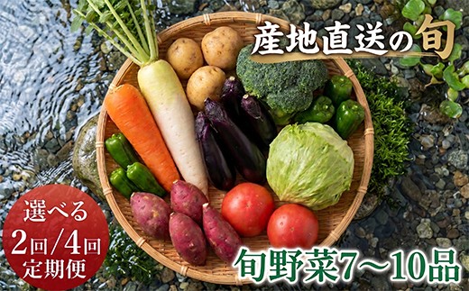 
                  【選べる定期便】季節のお野菜詰め合わせセット 定期便 旬のおまかせ 詰め合わせ 産地直送 季節の新鮮 野菜 定期便 果物 セット じゃがいも きゅうり トマト とうもろこし アスパラガス 玉ねぎ 蓮根 等  ふるさと納税 高知県 室戸市
                