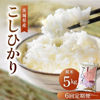 
                  ＜毎月定期便＞茨城県産 コシヒカリ精米 5kg | こしひかり 茨城県かすみがうら市全6回【4094321】
                
