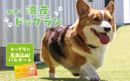 【海を一望できるドッグラン 利用チケット】ドッグラン平日パス 1頭 犬 ペット 天然芝 おでかけ 知多半島 伊勢湾 オーシャンビュー 海沿い 観光 体験チケット カフェ ペット同伴 犬連れ ドッグラン 愛犬 大型犬 中型犬 小型犬 dog 利用券 体験券 広い 屋内 屋外 雨の日 年間パスポート 年パス 1匹 愛知県 常滑市