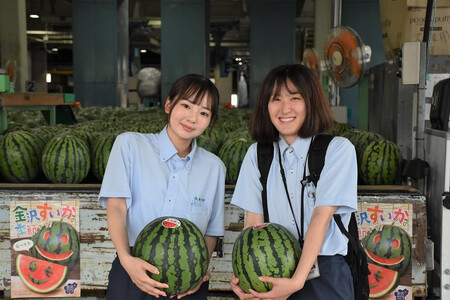 【2025年】金沢すいか（大玉すいか）1玉 8kg以上 JA金沢市 すいか スイカ すいか すいか すいか すいか