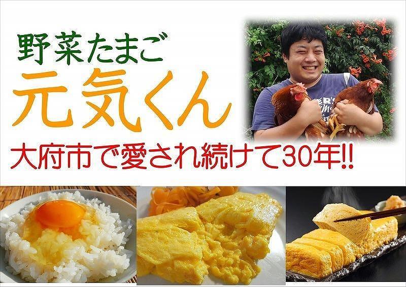 愛され続けて30年 「野菜たまご 元気くん」（40個） 日々のお料理がワンランクアップ!! 232238_EE25