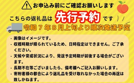 【先行予約】桃【約2〜2.5kg (6〜9玉)】(7-A18)