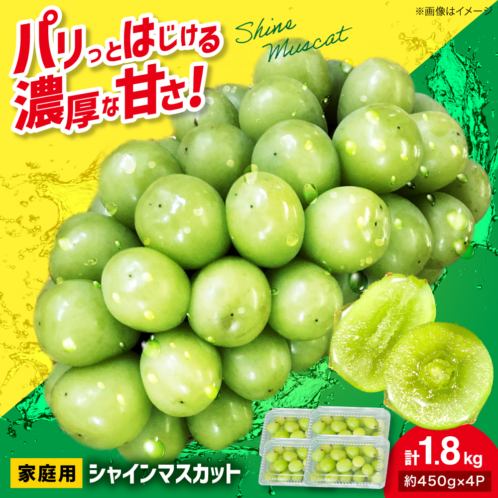 【2026年先行予約】＜9月下旬から順次発送＞家庭用 シャインマスカット 計1.8kg（約450g×4パック） 粒入り マスカット ぶどう ブドウ 葡萄 シャインマスカット 三次市 / 辰巳農園 [APCR001]