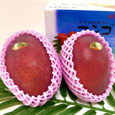 【2026年6月から順次発送・化粧箱】JAおきなわが厳選したアップルマンゴー1kg(2～3玉)【配送不可地域：離島】