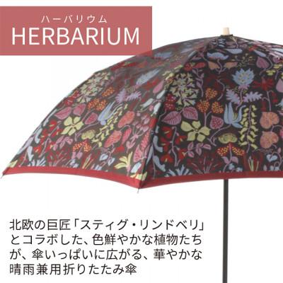 ふるさと納税 西桂町 婦人折りたたみ傘 StigL. ハーバリウム(レッド)　槙田商店の職人が作る日本製晴雨兼用婦人傘 |  | 01