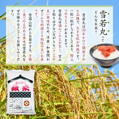 ふるさと納税 米沢市 【 3ヶ月定期便 / 令和7年産 】 雪若丸 計10kg/月 ( 1回配送 5kg×2袋 ) |  | 02