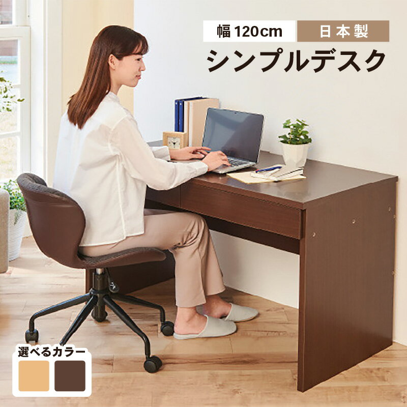 【ふるさと納税】【2色から選べる】PHSDシンプルデスク幅120cm 日本製（ナチュラル・ダークブラウン）｜日本製 国産 家具 木製 机 仕切り 入学祝 出産祝 プレゼント 贈り物 勉強 学習 子供部屋 リビング 書斎 子ども シンプル デザイン 新生活 引っ越し