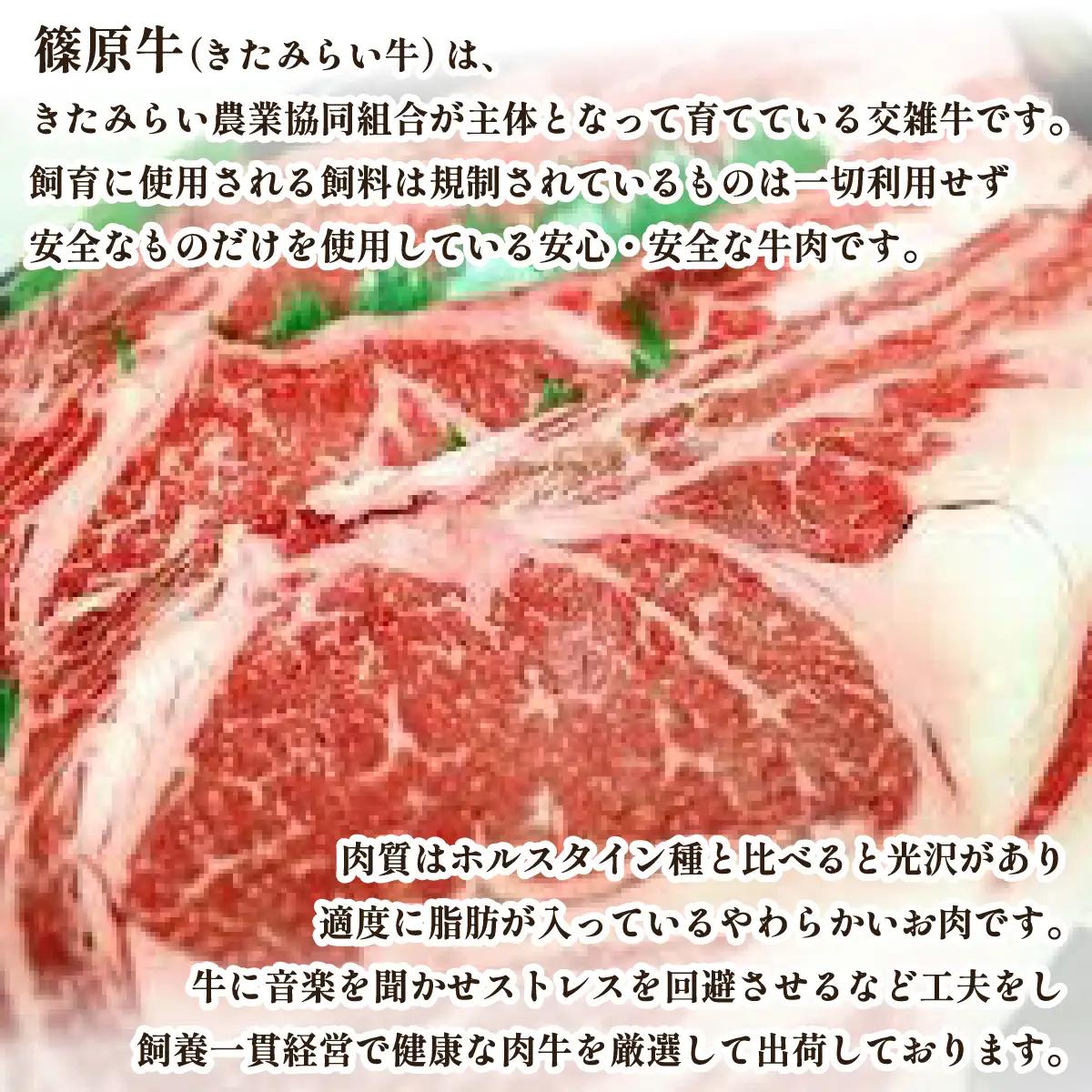 篠原牛サーロインステーキ 約250g×1枚 OTC001 