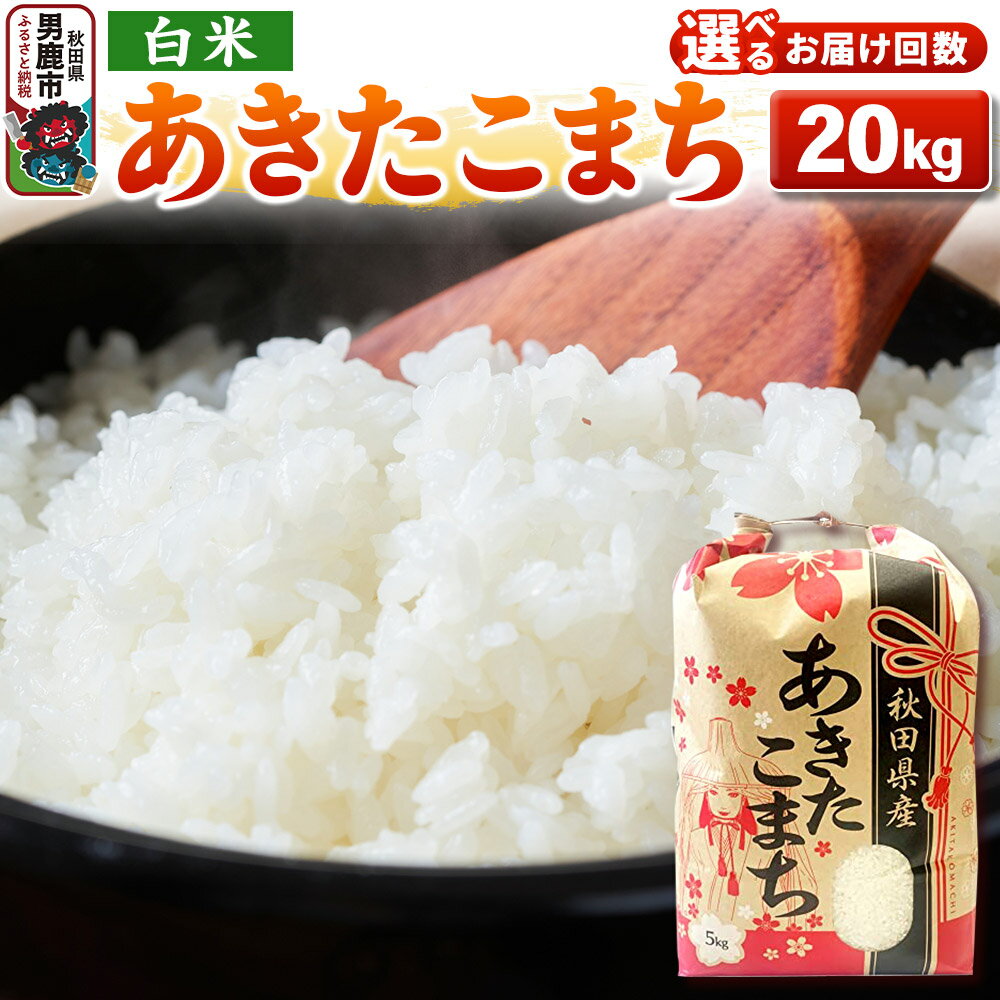【ふるさと納税】《令和7年産》【白米】秋田県産 あきたこまち 20kg（5kg×4袋） 秋田県 男鹿市 こまちライン【選べるお届け回数】 [こまちライン あきたこまち ブランド米 お米 白米 精米 米どころ 秋田 秋田県産]