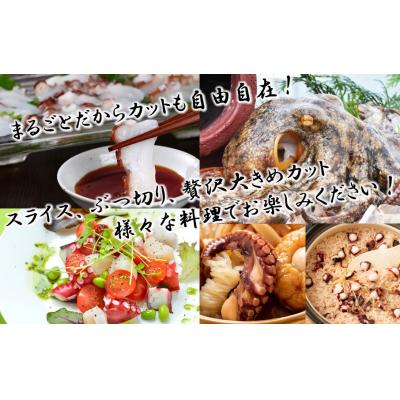 ふるさと納税 国東市 船上活き締め!ゆでたこ丸ごと約1kg(約1〜4杯)_1812R |  | 02