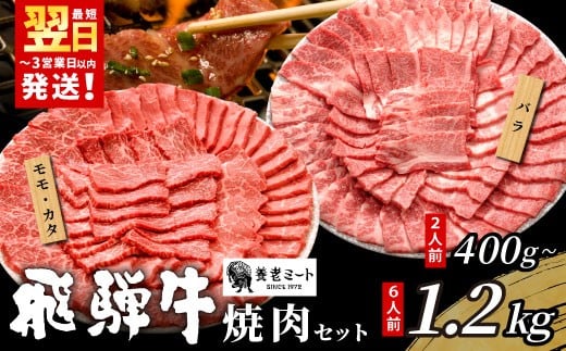 
                  贅沢！ 飛騨牛 焼肉セット 400g～1.2kg 2～6人前 牛肉 和牛 肉 焼肉 BBQ 霜降り カルビ 赤身 モモ カタ 東白川村 岐阜 養老ミート
                