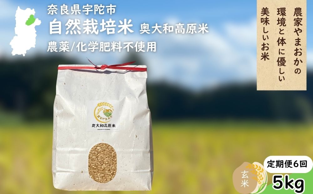 【定期便6回】自然栽培米 玄米 ＜令和7年産 5kg＞ ／ ふるさと納税 無農薬 米 お米 一等米 こめ コメ 国産 新米 玄米 農家やまおか 奈良県 宇陀市