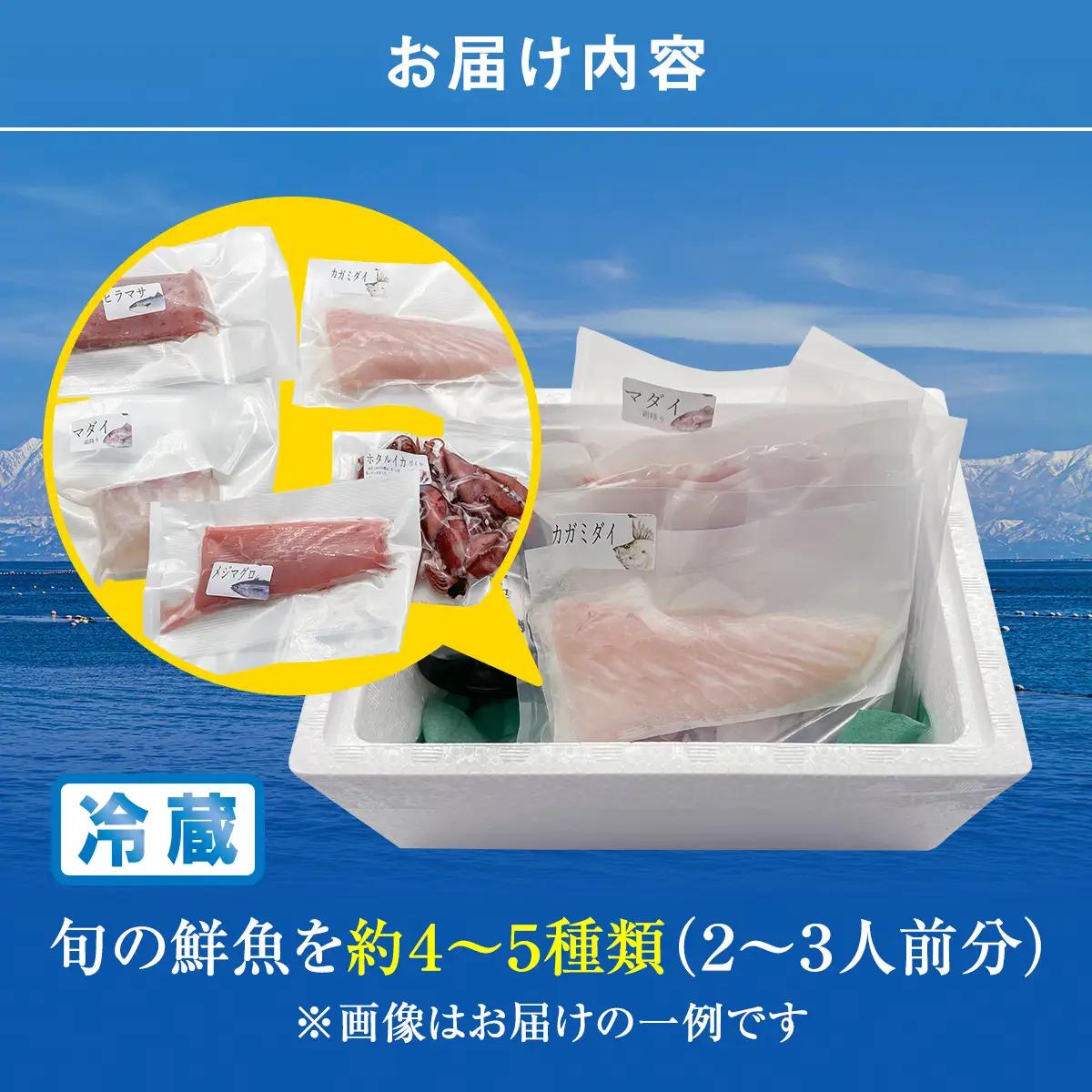 【配送地域限定】 産地直送の朝どれ鮮魚お刺身セット 2〜３人前 平日お届け