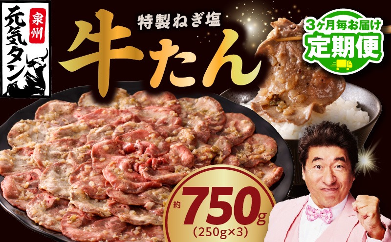 099Z426 【定期便】ねぎ塩 牛たん 750g 小分け 250g×3【牛タン 牛肉 焼肉用 薄切り 訳あり サイズ不揃い 2026年2月＆5月発送 全2回】