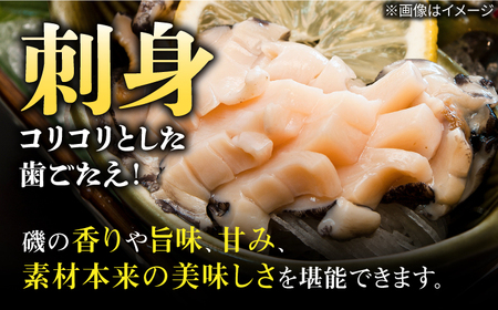 国産養殖アワビ 活き！壱岐！アワビ 計500g（約100g×5枚）《壱岐市》【住吉水産】アワビ 鮑 養殖 貝 海産物 魚介 魚貝 産地直送 お刺身 冷蔵発送[JDQ007]