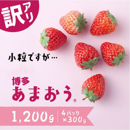 AC463.【訳あり.限定品】博多あまおう.小粒ですが約１２００g（先行受付．２０２７年２月以降発送）【あまおう】