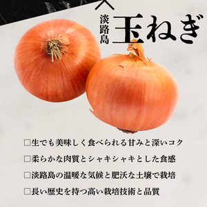 12ヶ月 定期便 近江牛 ハンバーグ 200g × 10個 2kg 淡路島の玉ねぎ入り