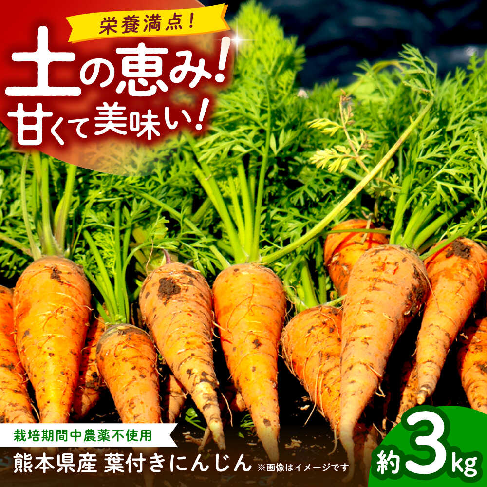【ふるさと納税】【先行予約】葉付きにんじん 約3kg　天日塩＆発酵土壌で作ったこだわりの人参 【株式会社 夢アグリ】[ZCL020]