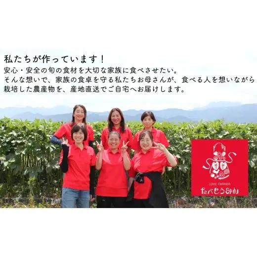 【定期便/3ヶ月お届け】たべとうみんの旬菜ボックス（お米付）