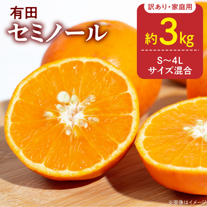 【2027年先行予約】訳あり 家庭用 きよみ 清見オレンジ 和歌山 有田 S～4Lサイズ混合 約3kg_DZ6224