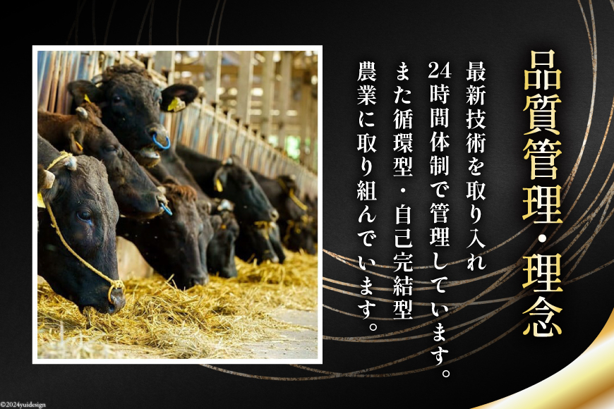 5回 定期便 宮崎県産 黒毛和牛 サーロイン ステーキ 300g ×3×5ヶ月 合計4.5kg [サンアグリフーズ 宮崎県 美郷町 31ba0034] 小分け 冷凍 送料無料 国産 牛 肉 霜降り B