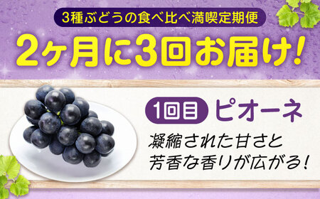 【全3回定期便】3種の沼隈ぶどう定期便 各2kg [BAEV003] ピオーネ ニューベリーA シャインマスカット