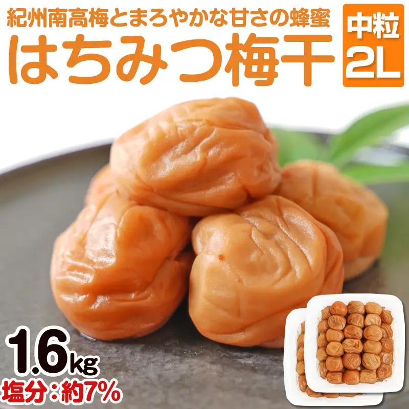 梅干し はちみつ梅干し（紀州南高梅）1.6kg 中粒 2L 和歌山県産 うめぼし【1124-2】