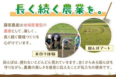 【令和7年産】浜田市金城町産 農家直送特別栽培米 コシヒカリ 5kg 米 お米 精米 白米 ごはん おぐに 新米 新生活 応援 準備 5キロ 特別栽培米 農家直送 【071_2072】