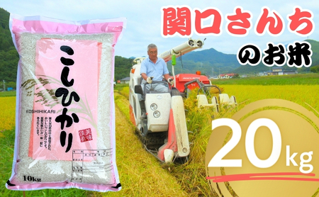 米 令和7年産 関口さんちのお米 コシヒカリ 20kg お米 こめ コメ 新米 精米 白米 ご飯 こしひかり 長野 信州